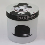 Pets Rock Gift Boxed Coffee Mug Tramp